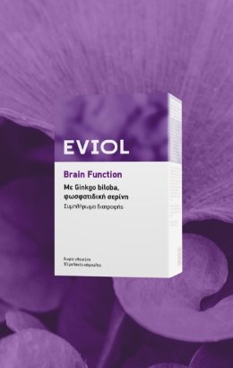 Brain Function
